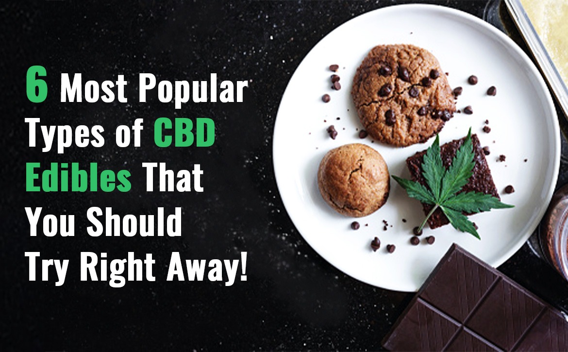 6 Most Popular Types Of Cbd Edibles That You Should Try Right Away