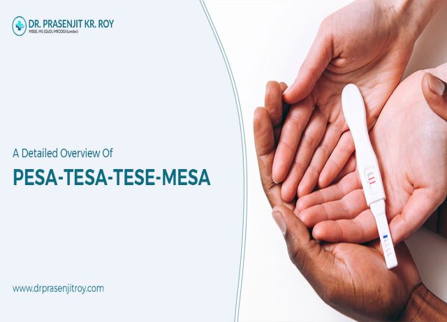 A Detailed Overview Of Pesa Tesa Tese Mesa